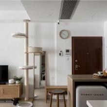 60㎡全通透日式一居，當(dāng)書房成為C位，窗前看書、燈下擼貓，真安逸！