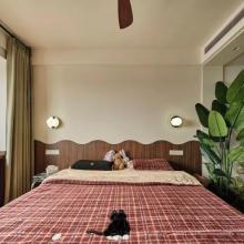 木色打底 跳色碰撞，包豪斯復(fù)古風(fēng)美到鄰居來抄作業(yè)