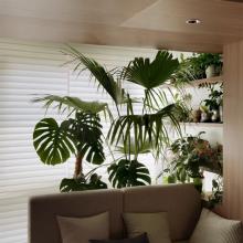 87㎡奶白 原木風(fēng)，復(fù)古松弛、自然清新的溫暖小家！